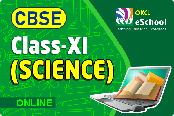Class 11